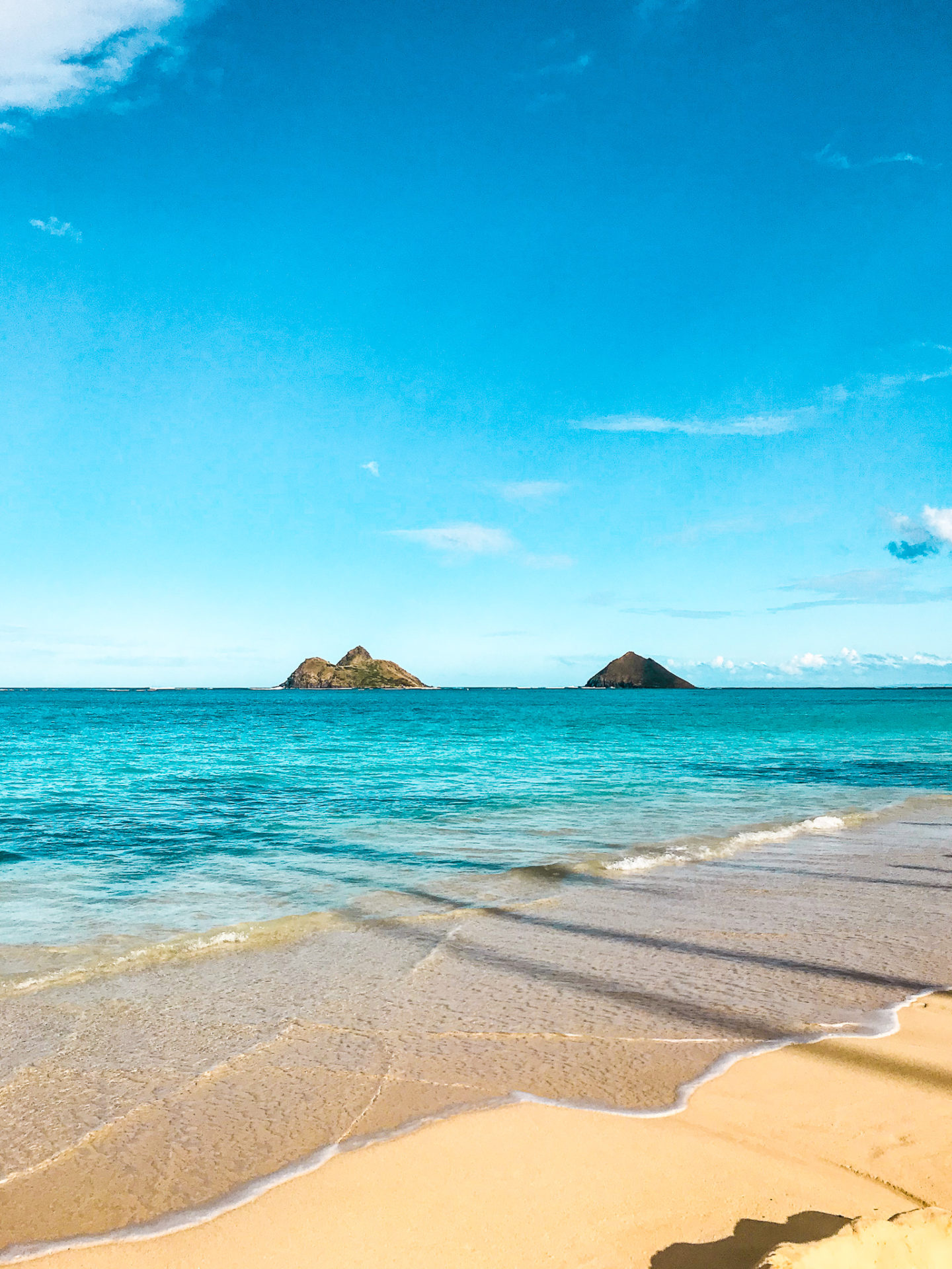 The Most Iconic Kailua Brand – Seas Aloha